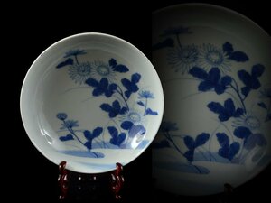 【雲】某資産家買取品 逸品 鍋島 染付花紋皿 直径16cm 古美術品(古伊万里大皿染錦CA4286 LTr978th