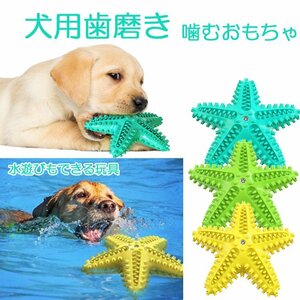 犬用歯磨き 噛むおもちゃ ヒトデ形犬歯ブラシ ワンちゃんのおもちゃ ペット用歯クリーナー 歯石の掃除に DOGTB005/グリーン