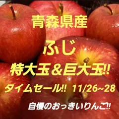 ★期間限定★青森県産 ふじ りんご 特大＆巨大玉 6~8玉 ㊲