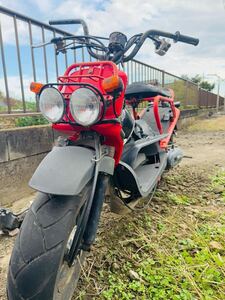 ホンダ　ズーマー　ホンダ today 50cc 