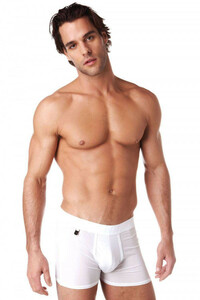 即決新品 グレッグ・オム Gregg Homme 100705 Mood Boxer-Briefs ボクサートランク　 ホワイト　白色 現品表記サイズ S