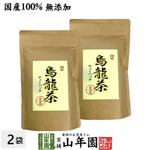 健康茶 国産100% 烏龍茶 ウーロン茶 ティーパック 2.5g×24パック×2袋セット 無添加 送料無料