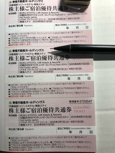 東急不動産ホールディングス 株主優待券 宿泊優待共通券3枚 東急ステイ リゾートホテル パラオパシフィックリゾート 即決あり