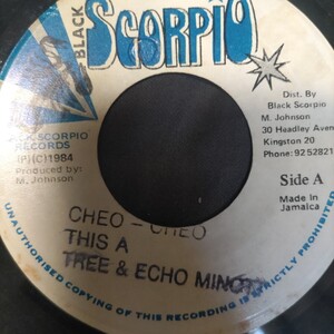 General Trees ＆ Echo Minott/Cheo Cheo Boops Riddim