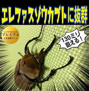 ゾウカブト系のブリーダーにも大好評です！極上☆プレミアム3次発酵マット【9袋】特殊アミノ酸・共生バクテリア３倍配合　産卵にも抜群です