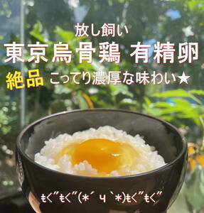 東京烏骨鶏 烏骨鶏 食用 ２０個 放し飼い 洗浄済み 送料無料