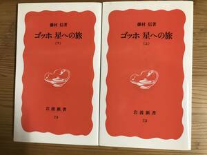 藤村信著・新書『ゴッホ　星への旅』上下２巻　