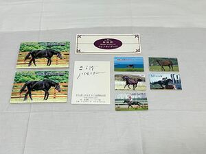 未使用 テレカ 額面5,000円 50度×10 テレホンカード 馬 競馬 競走馬 ナリタブライアン イシノサンデー ハイセイコー レガシーワールド GⅠ