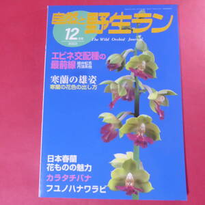 YN4-241219☆自然と野生ラン 2003年12月号　※ 寒蘭 エビネ フユノハナワラ カラタチバナ 春蘭 ※ 園芸JAPAN