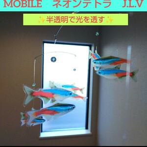 ￥1800→1650　ネオンテトラ　熱帯魚　モビール　フレンステッド　ではなくJ.L.Vです！