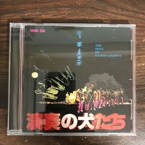 (491)中古CD1000円 SHOW-SKA 演奏の犬たち