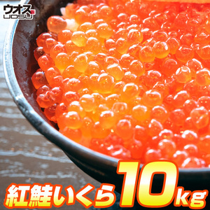 最安値挑戦！ いくら 醤油漬け 500g×20パック 計10kg 粒は小さいけど味は抜群！ 紅鮭 イクラ 贈答 いくら丼 敬老の日 敬老 敬老ギフト