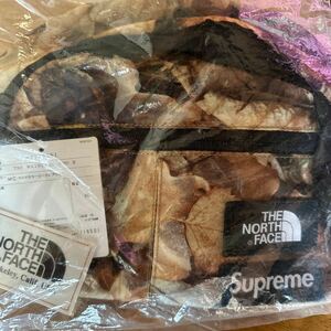 supreme north face leaves waist bag box logo シュプリーム ノースフェイス ウエストバッグ