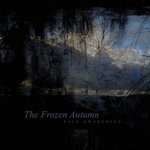 The Frozen Autumn Pale Awakening 2LP (Limited Edition 100 Black Vinyl) Avantgarde Music イタリア 90s Dark Cold Wave / Synth Pop