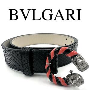 希少 BVLGARI ブルガリ ベルト レオーニ パイソン 保存袋、外箱付き