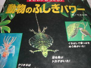 動物のふしぎパワー　　　すごい　びっくり　今泉忠明 　平成１１年発行　　世界文化社