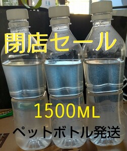 ゾウリムシ　1500ml(500ml×3本)。　メダカ　めだか　金魚　らんちゅう　ミジンコの餌に…　