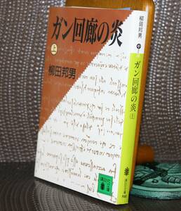 ガン回廊の炎　上 （講談社文庫） 柳田邦男／〔著〕