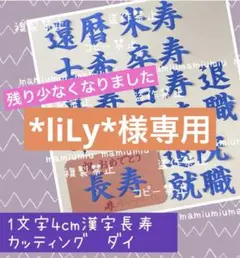 *liLy*様 リクエスト 3点 まとめ商品