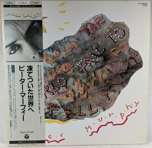 中古LP「Should The World Fail To Fall Apart / 凍てついた世界へ」PETER　MURPHY / ピーター・マーフィー