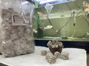 濾過材ろ材フィルター水質浄化抜群高品質納豆菌パワーリング4L当日発送送料無料