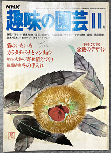 NHK 趣味の園芸 昭和55年 11月 菊のいろいろ カラタチバナとマンリョウ ガーデニング 盆栽 花壇 菜園