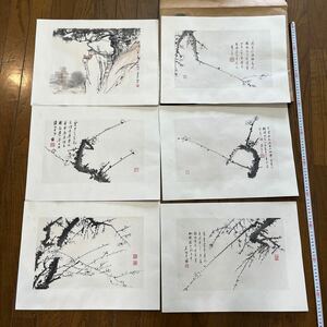 【真作】中国 中国美術 古美術 定之梅花册 宝木版水印　湯定之の梅花冊 栄宝斎木版水印　6枚