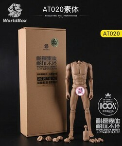 1/6 Worldbox AT020 男性素体　1/6サイズフィギュア素体