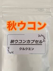 ☆大好評☆秋ウコンカプセル☆100カプセル☆持ち運び便利☆ウコンパウダー★