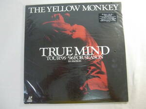 【LD】　　　THE YELLOW MONKEY / TRUE MIND TOUR