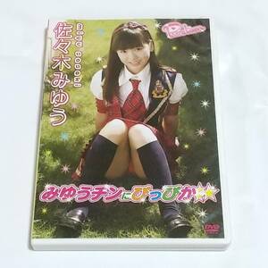 佐々木みゆう　DVD　 みゆうチンにぴっぴか