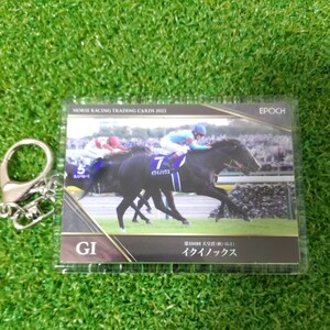 競馬　引退　イクイノックス　キーホルダー　カードコレクション　未使用　天皇賞秋優勝　2022年版　ウマ娘　東京競馬場