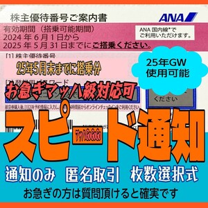 ANA 毎日10分スピード通知 発送無 GW使用可 全日空 株主優待券 バラ売 1枚/2枚/3枚/4枚/5～9枚 国内 航空券 搭乗期限25年5月末まで(23z