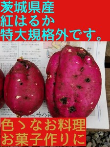 24㌔R6年訳ありBC級品です茨城県紅はるか超特大&手のひらサイズ甘熟サツマイモ