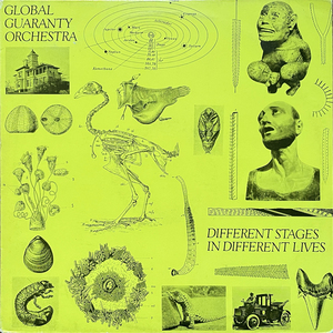 Global Guaranty Orchestra - Different Stages In Different Lives デンマーク Alternative Music LP レコード