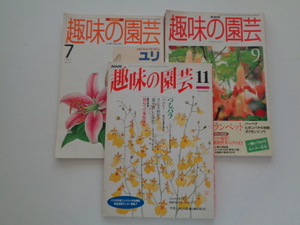 A137-60【1円～】NHK趣味の園芸 3冊セット 1994年～1995年