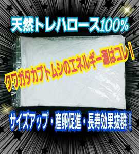 クワガタ・カブトムシのエネルギー源！トレハロース粉末☆マットや菌糸、ゼリーに混ぜるだけでサイズアップ、産卵数アップ、長寿効果抜群！