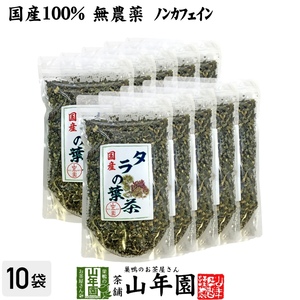 健康茶 国産100% タラの葉茶 無農薬 100g×10袋セット 宮崎県産 送料無料