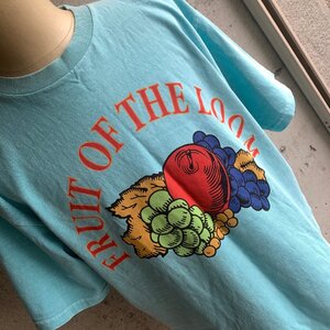 アメリカ古着 フルーツオブザルーム ビッグ イラスト Tシャツ ライトブルー XL U.S Used Clothing FRUIT OF THE LOOM Big Print T-Shirt