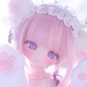 【tear.o0】DDH-01SW肌カスタムヘッド+デカールアイ＊難あり