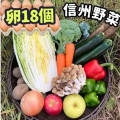 朝採れ！ 野菜 果物 の詰め合わせとでかたまご18個 野菜セット #q