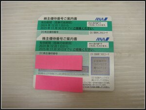 B306 【送料無料】 ANA 全日空 株主優待券 グリーン 有効期間 2024年12月1日から2025年11月30日 2枚 まとめて