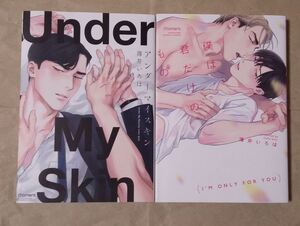 アンダーマイスキン Under My Skin 僕は君だけのもの 薄井いろは １巻完結 ペーパー 竹書房 moment BL ★ 即決 美品 中古本 漫画 LVDBL