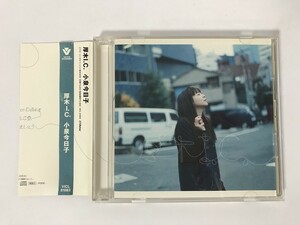 TN956 小泉今日子 / 厚木I.C. 【CD】 1115