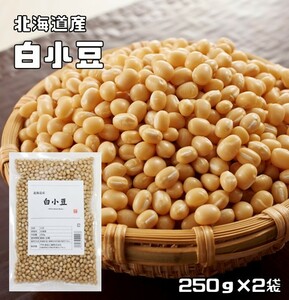 白小豆 250g×2袋 豆力 北海道産 （メール便）白あずき 希少豆 しろ小豆 国産 国内産 乾燥豆 豆類 和風食材 生豆 限定品