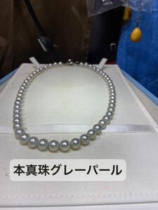 本真珠パールネックレス アコヤ真珠 グレーアコヤパールネックレス 留め具 SILVER 刻印 アクセサリー 