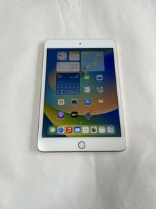 IPad Mini 5 WiFi + Cellular 64GB Gold