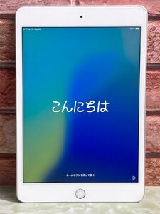 1円～ ●Apple iPad mini 第5世代 / Wi-Fi + Cellular / 256GB / シルバー / iOS 18.2 / 7.9型 (2048x1536) / バッテリー82% / MUXD2J/A