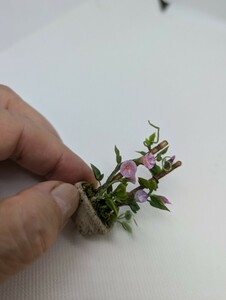 miniatureflower,樹脂粘土手づくり、朝顔、 ミニチュア シルバニア リカちゃん ドールハウスclay,clayflower,handmade,