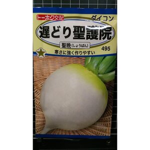 ３袋セット 遅どり 聖護院 大根 聖晩 種 郵便は送料無料 だいこん